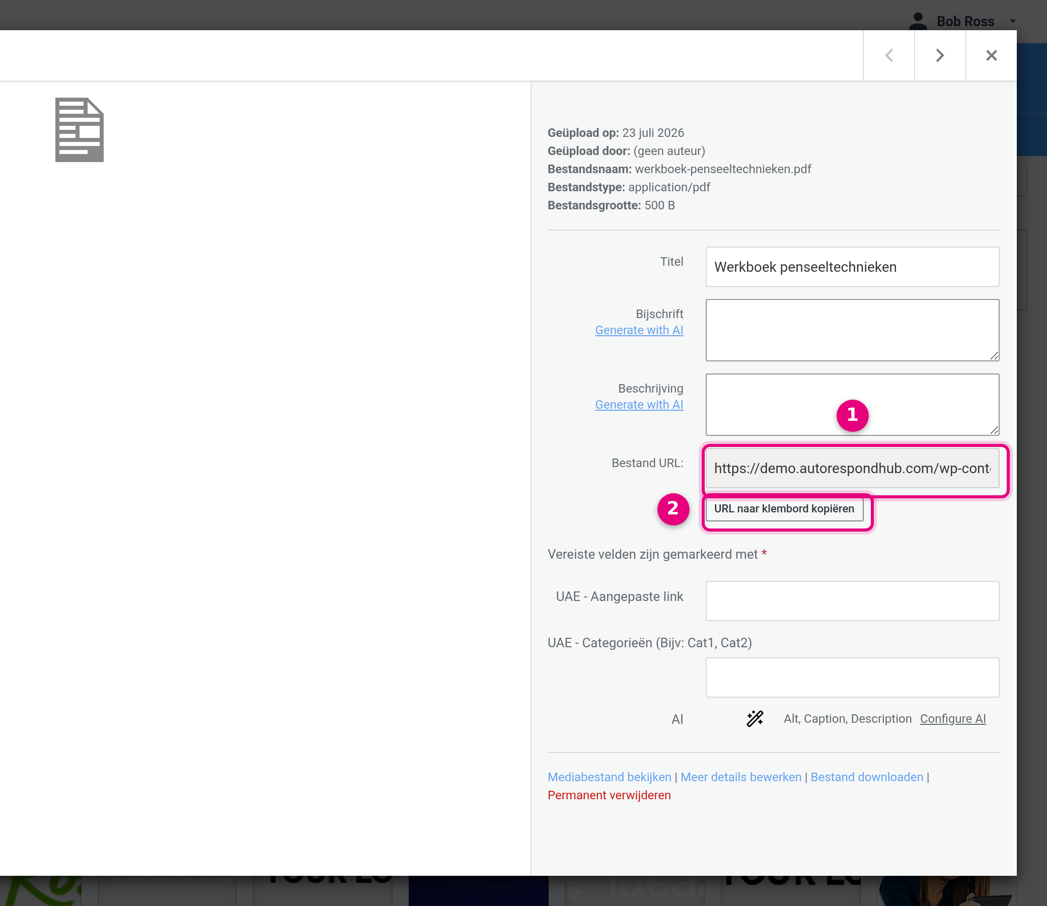 Het venster Bijlagedetails met het veld Bestand URL en de knop URL naar klembord kopiëren