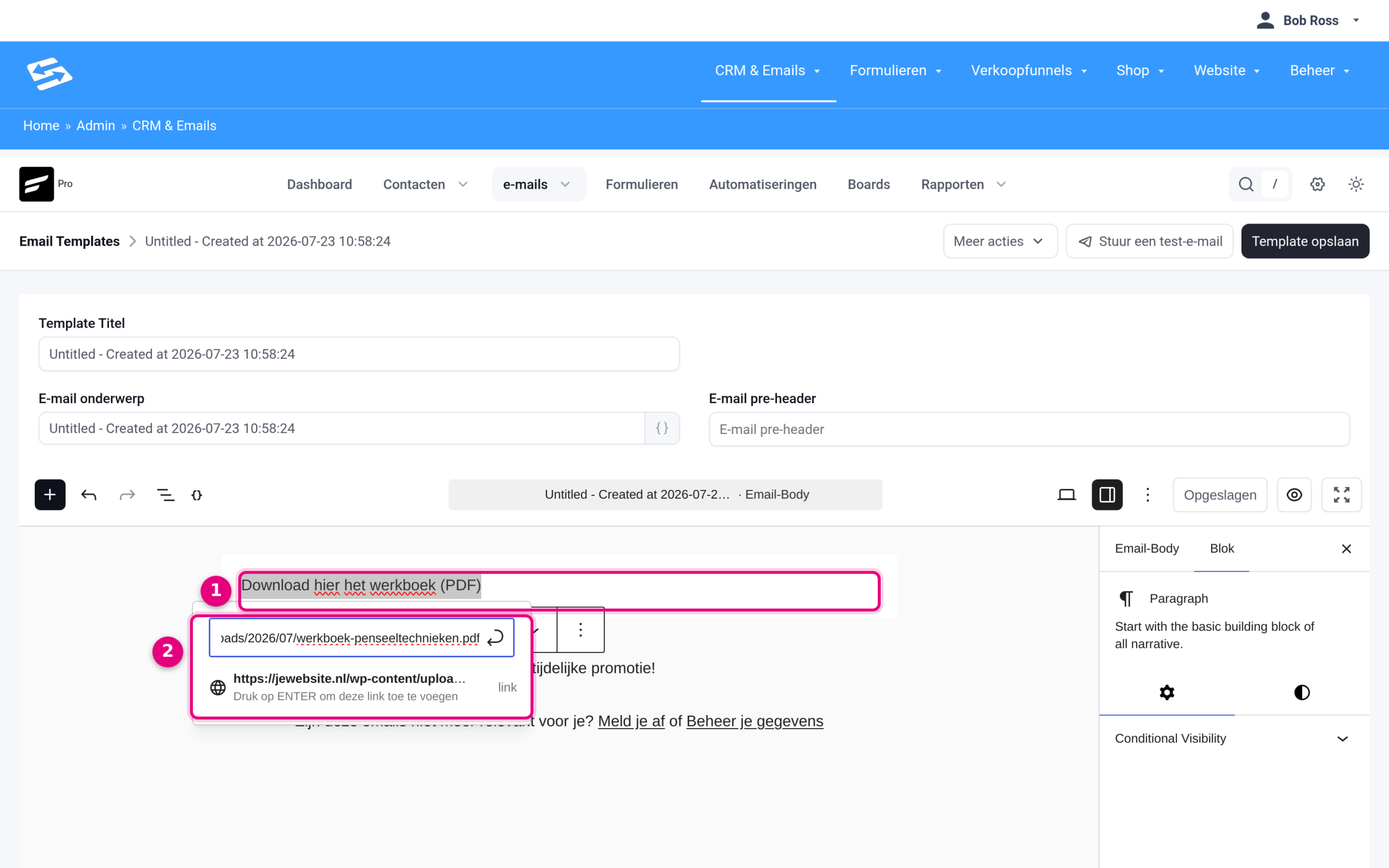 De e-maileditor met geselecteerde tekst en het linkveld waarin de bestands-URL is geplakt