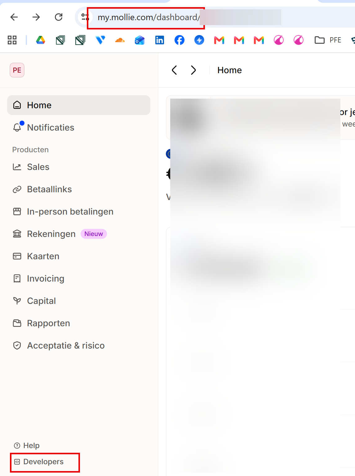 Mollie-dashboard met de knop Developers linksonder in het menu